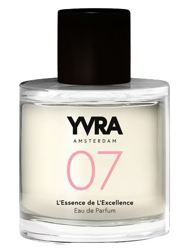 07 - L'Essence de L'Excellence
