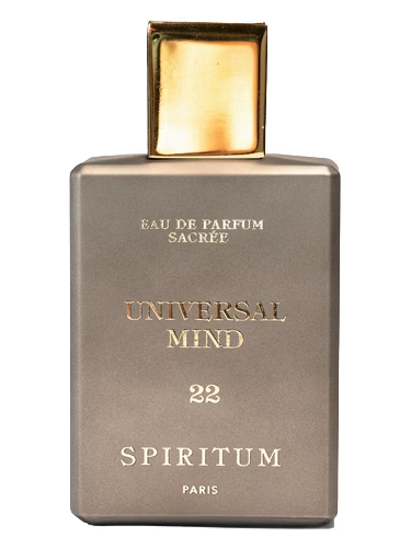 22 Universal Mind