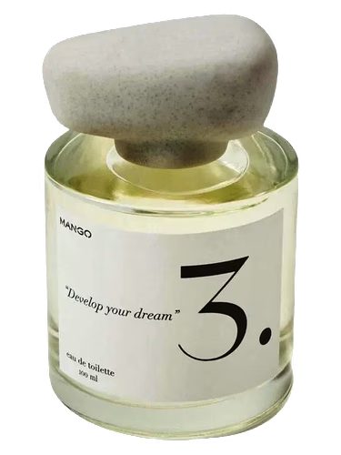 3. Develop Your Dream