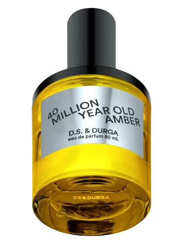 40 Million Year Old Amber by DS&Durga