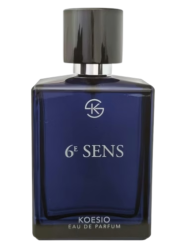 6E SENS