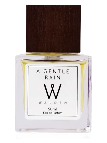 A Gentle Rain