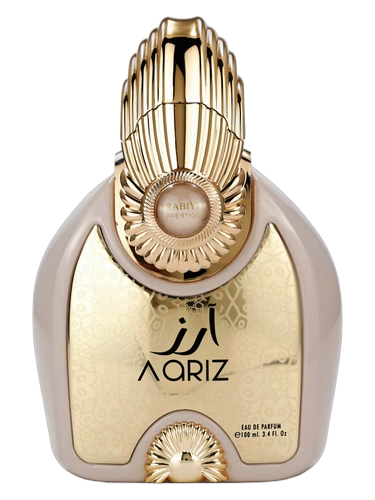 Aariz L’Absolu