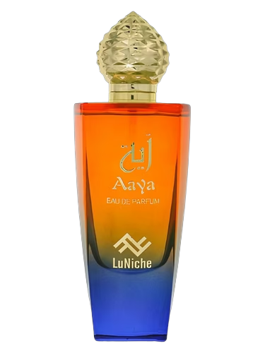 Aaya by LuNiche