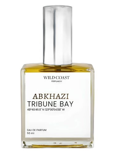 Abkhazi
