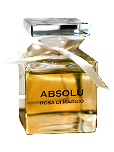 Absolu Rosa Di Maggio