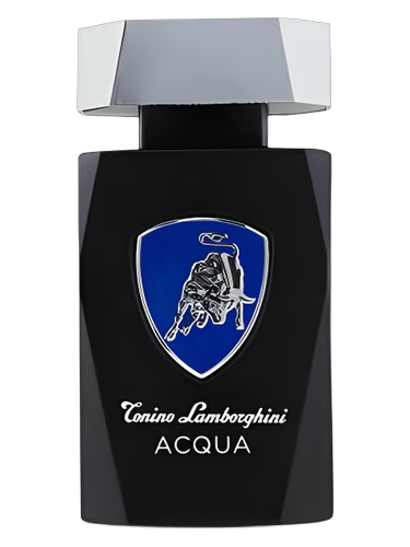 Acqua by Tonino Lamborghini