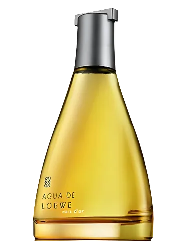Agua de Loewe Cala d'Or by Loewe