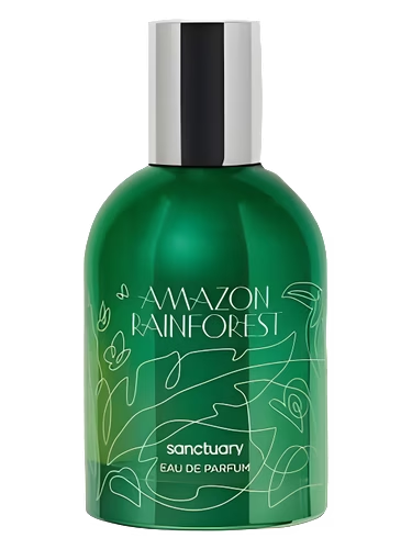 Amazon Rainforest
