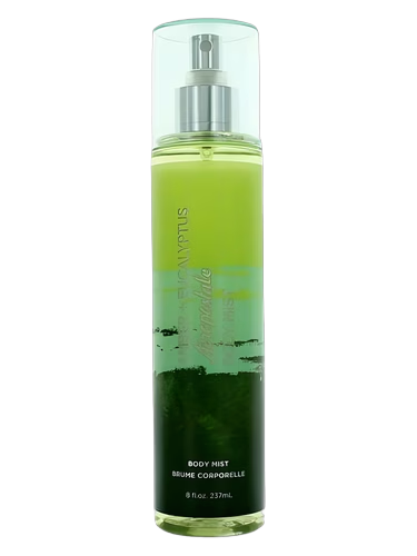 Amber Eucalyptus by Aéropostale