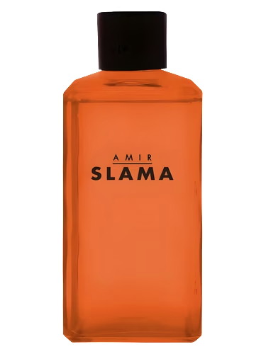 Amir Slama Raiz