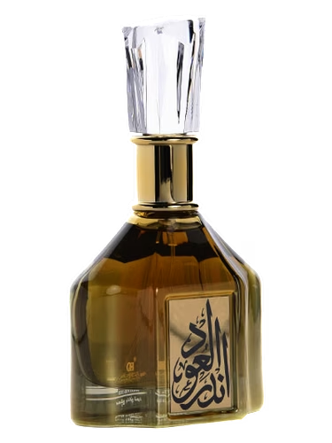 Ander Al Oud