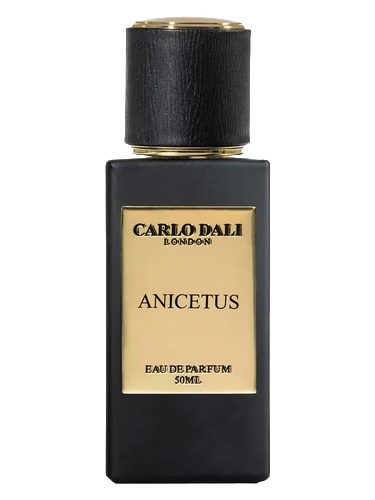Anicetus by Carlo Dali