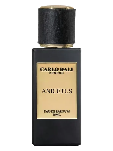 Anicetus by Carlo Dali
