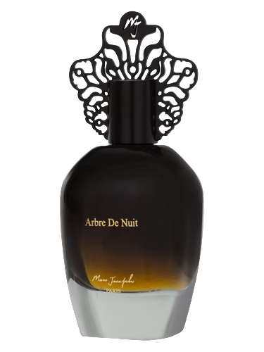 Arbre De Nuit