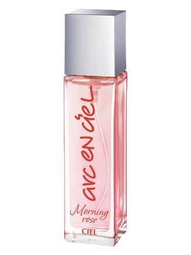 Arc-en-Ciel Morning Rose