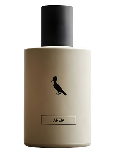 Areia