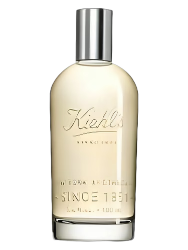 Aromatic Blends: Patchouli & Fresh Rose