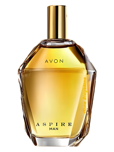 Aspire Man (2016)