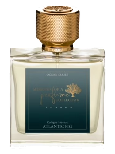 Atlantic Fig