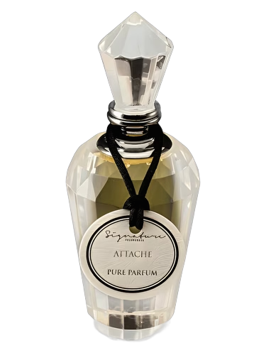 Attache