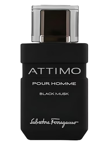 Attimo Black Musk Pour Homme