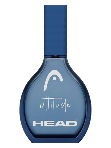 Attitude