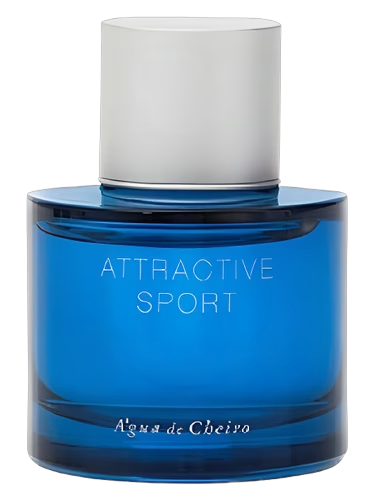 Attractive Masculino Sport