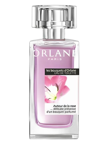 Autour de la Rose