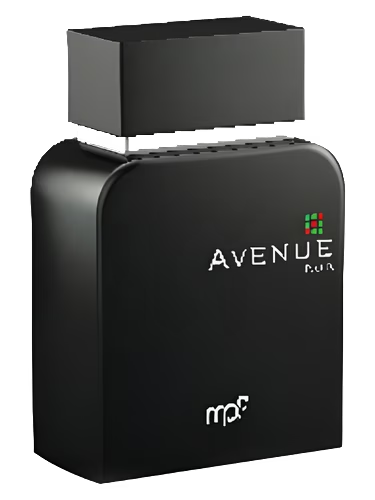 Avenue Noir