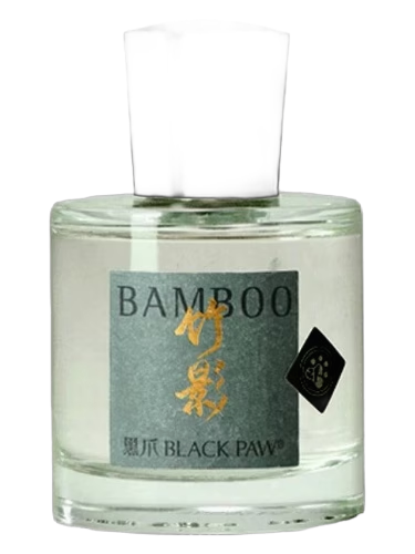 Bamboo 竹影