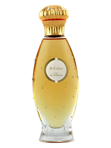 Bellodgia
