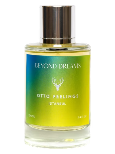 Beyond Dreams