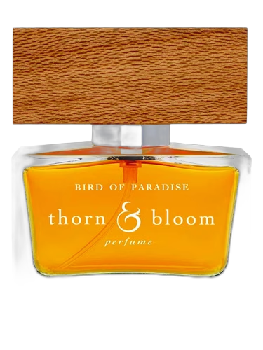 Bird of Paradise
