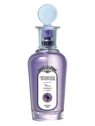 Черная смородина и мята - Black currant and Mint