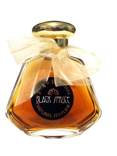 Black Spruce