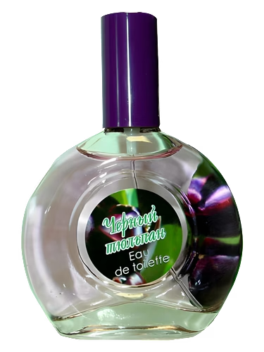 Black Tulip Черный Тюльпан