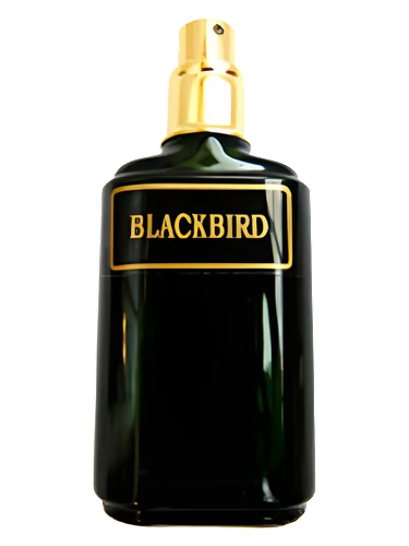 Blackbird