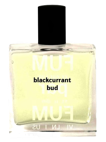 Blackcurrant Bud