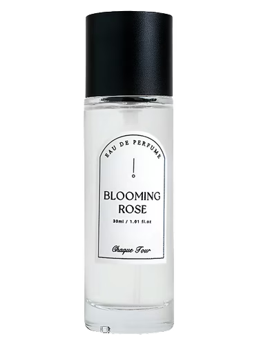 Blooming Rose
