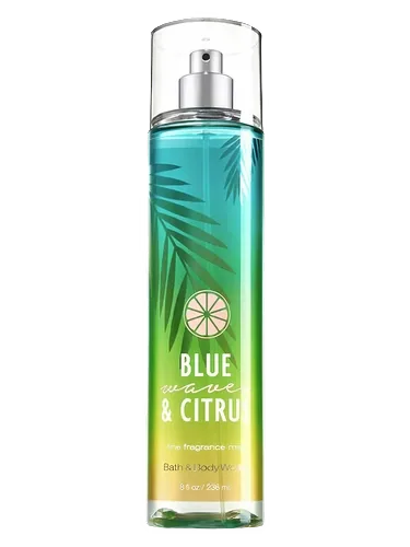 Blue Waves & Citrus by Bath & Body Works