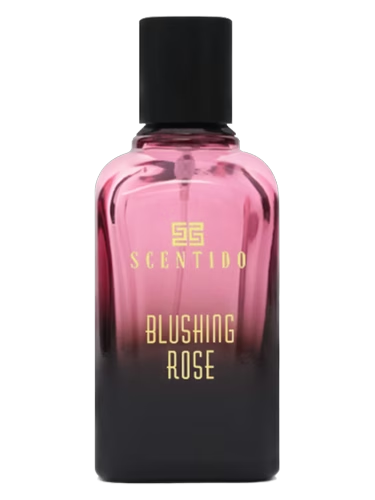 Blushing Rose