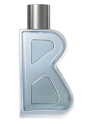 Bogner for Man