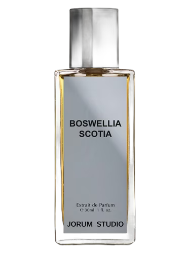 Boswellia Scotia