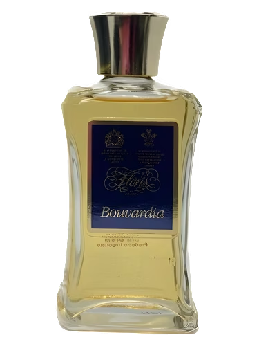 Bouvardia