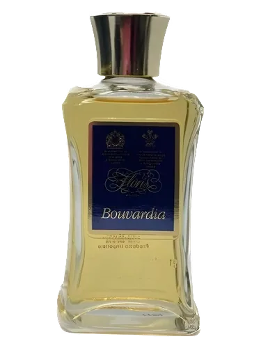 Bouvardia by Floris