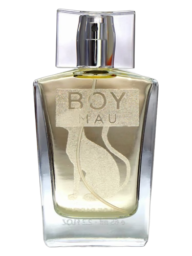 Boy by Mau Perfume