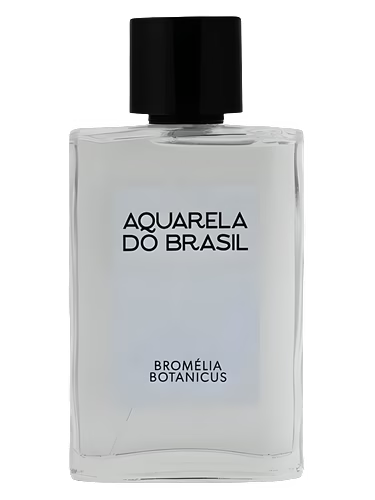 Bromélia Botanicus