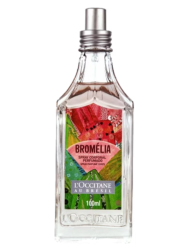 Bromélia
