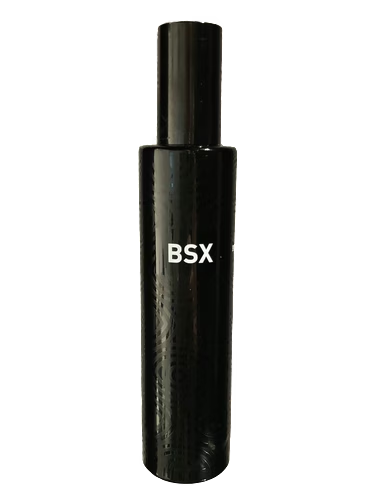 BSX